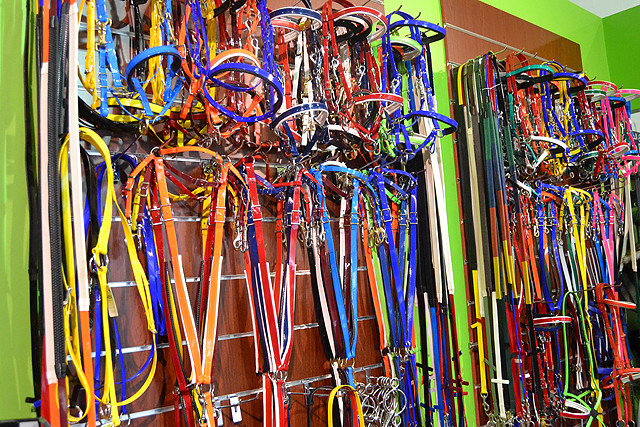 Se hva vi fant i Dubai!