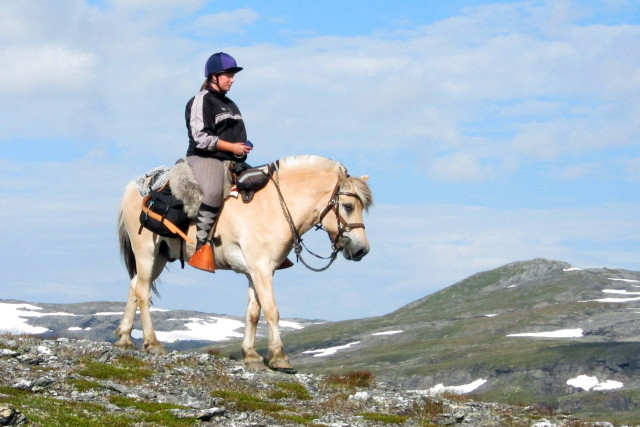 Hestefeire - noe for deg?