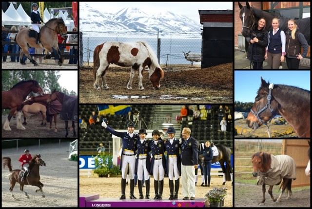 Mest lest i september