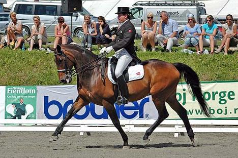 Tre uker med dressur