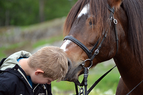 Med hesten som terapeut